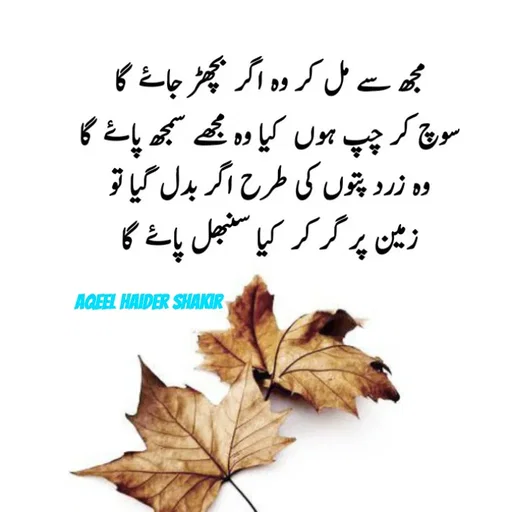 Quote by aqeel haider shakir -  - Made using Quotes Creator App, Post Maker App