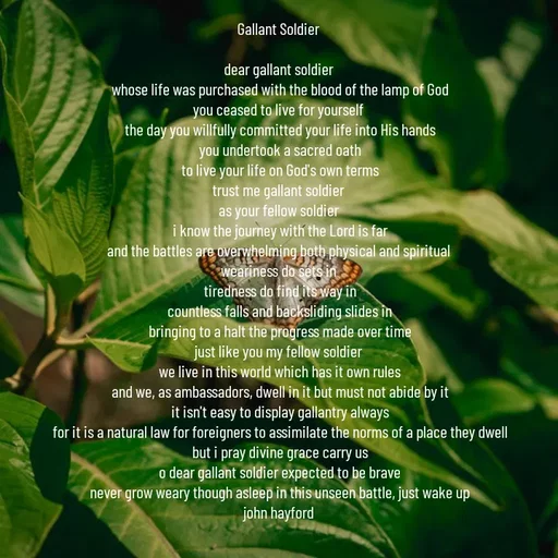 Quote by John Hayford - Gallant Soldier 

dear gallant soldier 
whose life was purchased with the blood of the lamp of God
you ceased to live for yourself 
the day you willfully committed your life into His hands
you undertook a sacred oath
to live your life on God's own terms
trust me gallant soldier 
as your fellow soldier 
i know the journey with the Lord is far
and the battles are overwhelming both physical and spiritual 
weariness do sets in 
tiredness do find its way in
countless falls and backsliding slides in
bringing to a halt the progress made over time
just like you my fellow soldier 
we live in this world which has it own rules
and we, as ambassadors, dwell in it but must not abide by it
it isn't easy to display gallantry always
for it is a natural law for foreigners to assimilate the norms of a place they dwell
but i pray divine grace carry us
o dear gallant soldier expected to be brave
never grow weary though asleep in this unseen battle, just wake up
john hayford  - Made using Quotes Creator App, Post Maker App