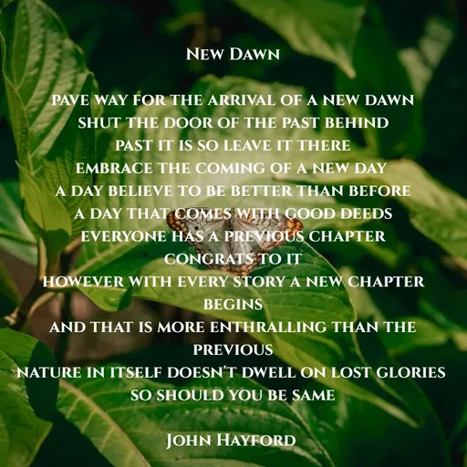 Quote by John Hayford - New Dawn

pave way for the arrival of a new dawn
shut the door of the past behind
past it is so leave it there
embrace the coming of a new day 
a day believe to be better than before
a day that comes with good deeds
everyone has a previous chapter
congrats to it
however with every story a new chapter begins
and that is more enthralling than the previous
nature in itself doesn't dwell on lost glories 
so should you be same

John Hayford  - Made using Quotes Creator App, Post Maker App