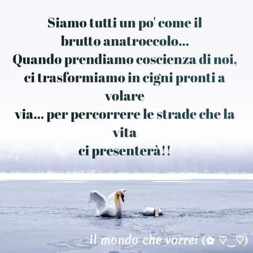 Quote by Simona Rosa - Siamo tutti un po' come il
brutto anatroccolo...
Quando prendiamo coscienza di noi,
ci trasformiamo in cigni pronti a volare
via... per percorrere le strade che la vita
ci presenterà!!

 - Made using Quotes Creator App, Post Maker App