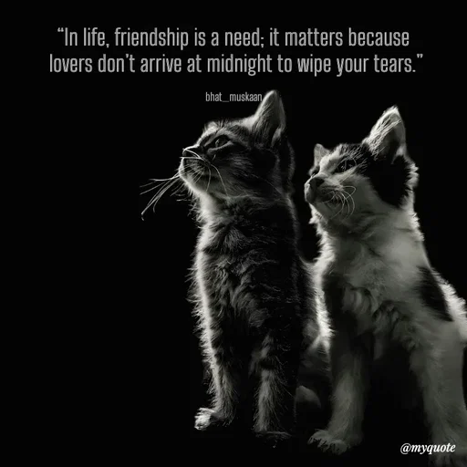 Quote by Bhat_Muskaan - “In life, friendship is a need; it matters because
 lovers don’t arrive at midnight to wipe your tears.”

bhat_muskaan - Made using Quotes Creator App, Post Maker App