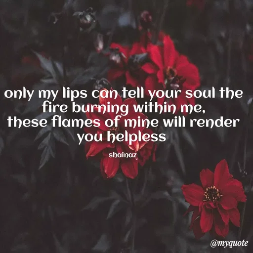 Quote by Little Star -  - Made using Quotes Creator App, Post Maker App