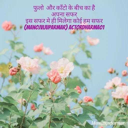 Quote by Actor/writer/Manoj Viju Parmar(instragaram - फुलो  और काँटो के बीच का है 
अपना सफर 
इस सफर मे ही मिलेगा कोई हम सफर 
(manojvijuparmar) actordharma01  - Made using Quotes Creator App, Post Maker App