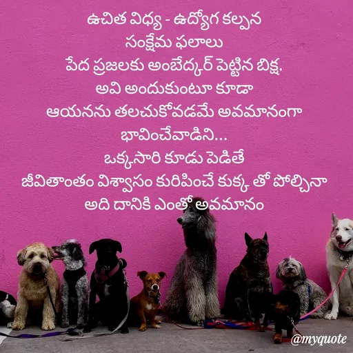 Quote by rambabu Kummajella - ఉచిత విధ్య - ఉద్యోగ కల్పన
సంక్షేమ ఫలాలు
పేద ప్రజలకు అంబేద్కర్ పెట్టిన బిక్ష.
అవి అందుకుంటూ కూడా
ఆయనను తలచుకోవడమే అవమానంగా భావించేవాడిని...
ఒక్కసారి కూడు పెడితే
జీవితాంతం విశ్వాసం కురిపించే కుక్క తో పోల్చినా
 అది దానికి ఎంతో అవమానం 
 - Made using Quotes Creator App, Post Maker App