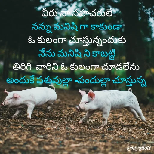 Quote by rambabu Kummajella - వీరు నా సహచరులే
నన్ను మనిషి గా కాకుండా
ఓ కులంగా చూస్తున్నందుకు
నేను మనిషి ని కాబట్టి
తిరిగి  వారిని ఓ కులంగా చూడలేను 
అందుకే పశువుల్లా -పందుల్లా చూస్తున్న  - Made using Quotes Creator App, Post Maker App