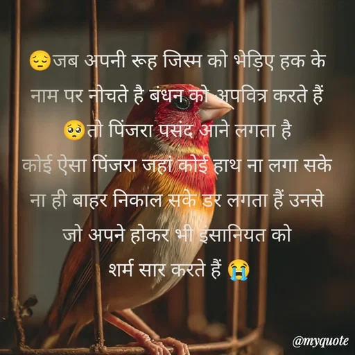 Quote by Rajni choudhary ✍️ gujjari 2026 -  - Made using Quotes Creator App, Post Maker App