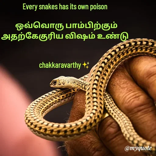 Quote by Chakkaravarthy C -  - Made using Quotes Creator App, Post Maker App