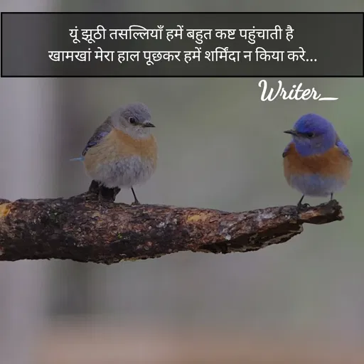 Quote by Maurya_jii💞 -  - Made using Quotes Creator App, Post Maker App