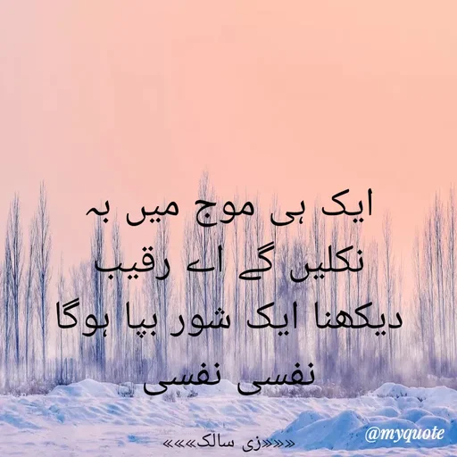 Quote by Zaiba Bano -  - Made using Quotes Creator App, Post Maker App