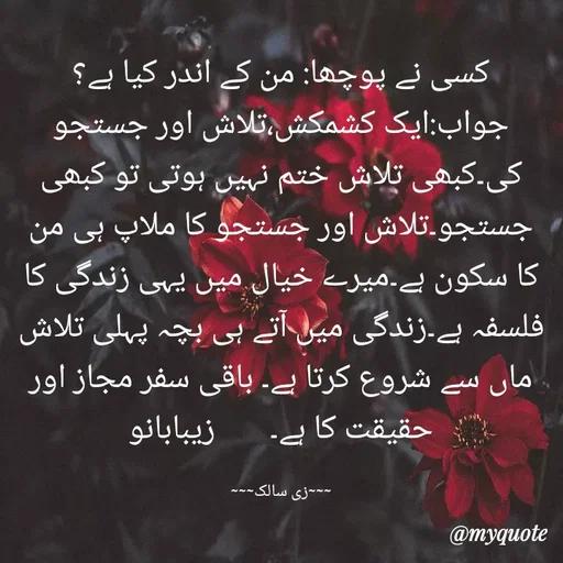 Quote by Zaiba Bano -  - Made using Quotes Creator App, Post Maker App
