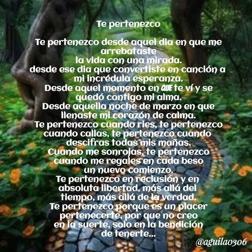 Quote by Marce... Aguila0306 -  - Made using Quotes Creator App, Post Maker App