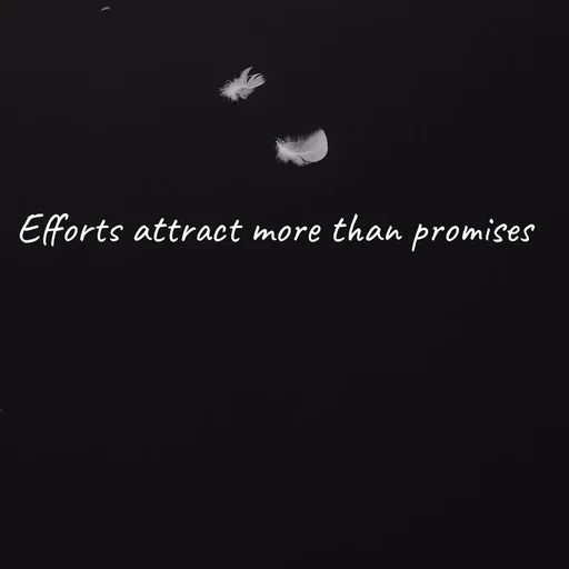 Quote by Meh_Sanhitha - Efforts attract more than promises  - Made using Quotes Creator App, Post Maker App