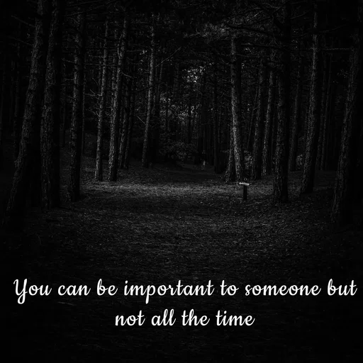 Quote by Meh_Sanhitha - You can be important to someone but not all the time - Made using Quotes Creator App, Post Maker App