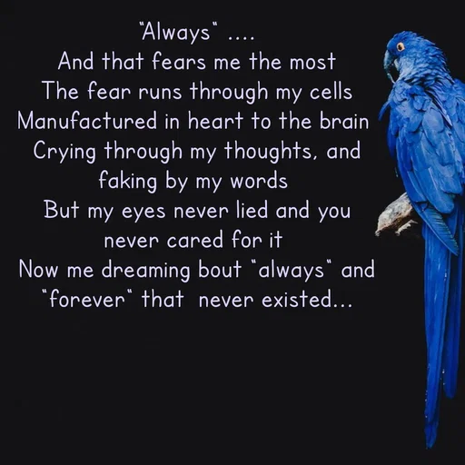 Quote by Meh_Sanhitha - "Always" ....
And that fears me the most
The fear runs through my cells
Manufactured in heart to the brain 
Crying through my thoughts, and faking by my words 
But my eyes never lied and you never cared for it 
Now me dreaming bout "always" and  "forever" that  never existed... - Made using Quotes Creator App, Post Maker App