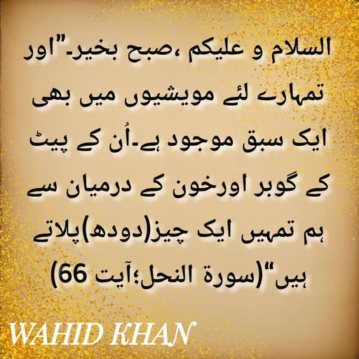 Quote by Allah da bandah -  - Made using Quotes Creator App, Post Maker App