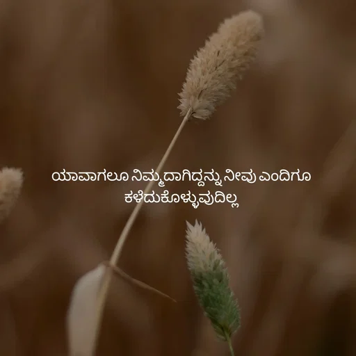 Quote by Pavan G -  - Made using Quotes Creator App, Post Maker App