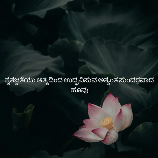 Quote by Pavan G -  - Made using Quotes Creator App, Post Maker App