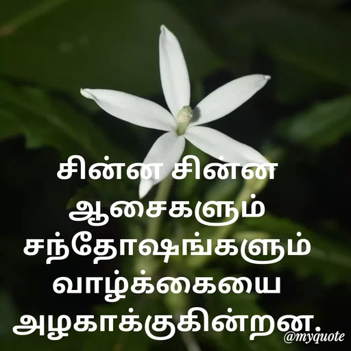 Quote by Ambiga Saravanakumar - சின்ன சின்ன ஆசைகளும் சந்தோஷங்களும் வாழ்க்கையை அழகாக்குகின்றன. - Made using Quotes Creator App, Post Maker App