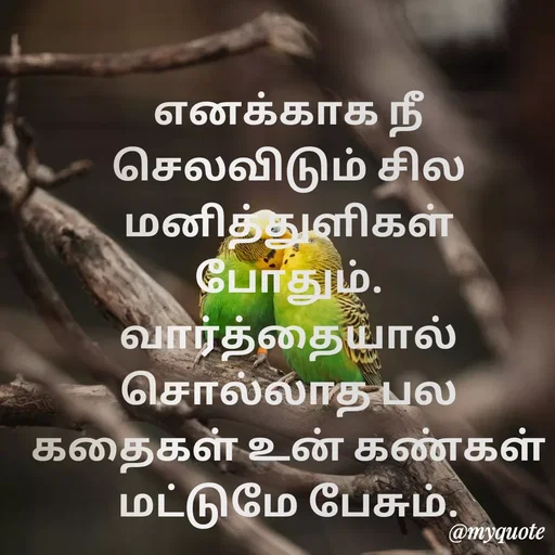 Quote by Ambiga Saravanakumar - எனக்காக நீ செலவிடும் சில மனித்துளிகள் போதும்.     வார்த்தையால் சொல்லாத பல கதைகள் உன் கண்கள் மட்டுமே பேசும். - Made using Quotes Creator App, Post Maker App