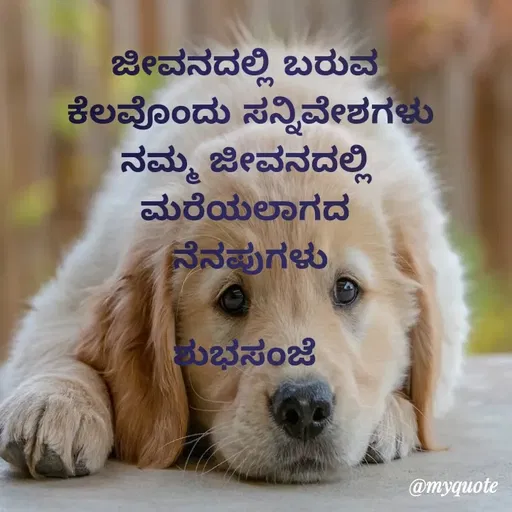 Quote by Honne Gowda - ಜೀವನದಲ್ಲಿ ಬರುವ 
ಕೆಲವೊಂದು ಸನ್ನಿವೇಶಗಳು
ನಮ್ಮ ಜೀವನದಲ್ಲಿ 
ಮರೆಯಲಾಗದ 
ನೆನಪುಗಳು

ಶುಭಸಂಜೆ  - Made using Quotes Creator App, Post Maker App