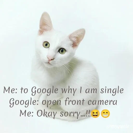 Quote by LIJARANI ROUT - Me: to Google why I am single 
Google: open front camera 
Me: Okay sorry...!!😆😁 - Made using Quotes Creator App, Post Maker App