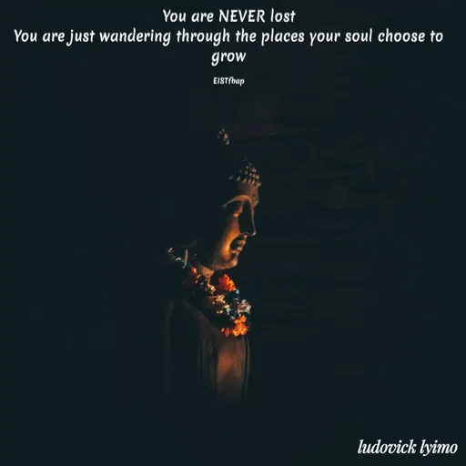 Quote by Ludovick Damian - You are NEVER lost
You are just wandering through the places your soul choose to grow

EISTfbap - Made using Quotes Creator App, Post Maker App