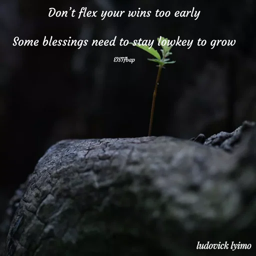 Quote by Ludovick Lyimo - Don’t flex your wins too early

Some blessings need to stay lowkey to grow

EISTfbap - Made using Quotes Creator App, Post Maker App