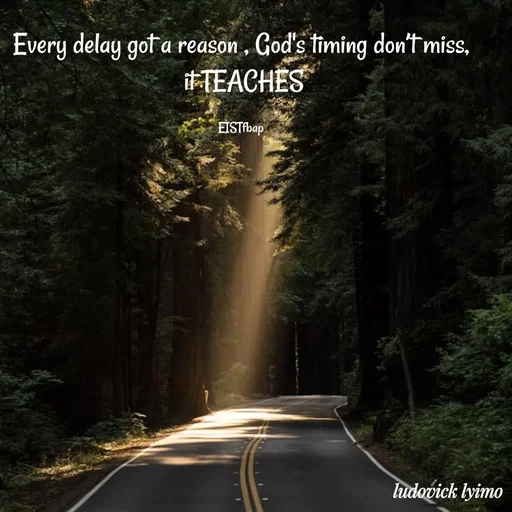 Quote by Ludovick Lyimo - Every delay got a reason , God's timing don’t miss,
 it TEACHES

EISTfbap - Made using Quotes Creator App, Post Maker App