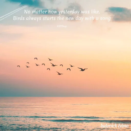 Quote by Ludovick Lyimo - No matter how yesterday was like.
Birds always starts the new day with a song

EISTfbap - Made using Quotes Creator App, Post Maker App
