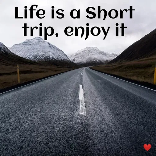 Quote by vandana - Life is a Short trip, enjoy it - Made using Quotes Creator App, Post Maker App