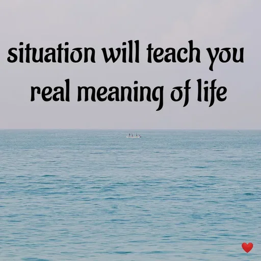 Quote by vandana - situation will teach you 
real meaning of life - Made using Quotes Creator App, Post Maker App