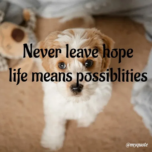 Quote by vandana - Never leave hope
life means possiblities - Made using Quotes Creator App, Post Maker App