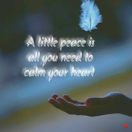 Quote by vandana -  A little peace is 
all you need to
calm your heart  - Made using Quotes Creator App, Post Maker App