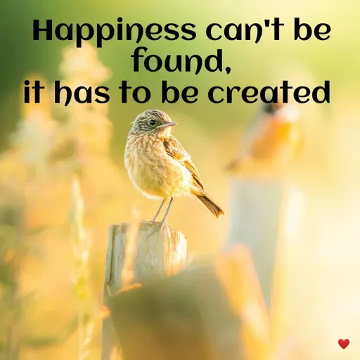 Quote by vandana - Happiness can't be found,
it has to be created  - Made using Quotes Creator App, Post Maker App