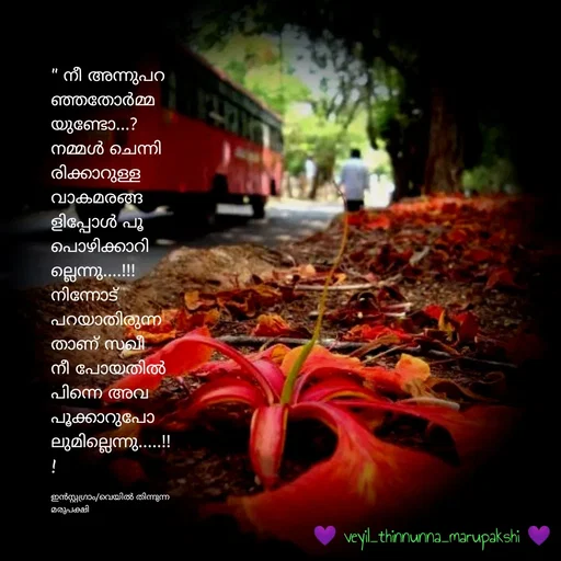 Quote by സഖേയ പാലക്കാട് - w¿Con3...?
MlemOs
egolo .!
!
veyil_thinnunna_marupakshi
 - Made using Quotes Creator App, Post Maker App