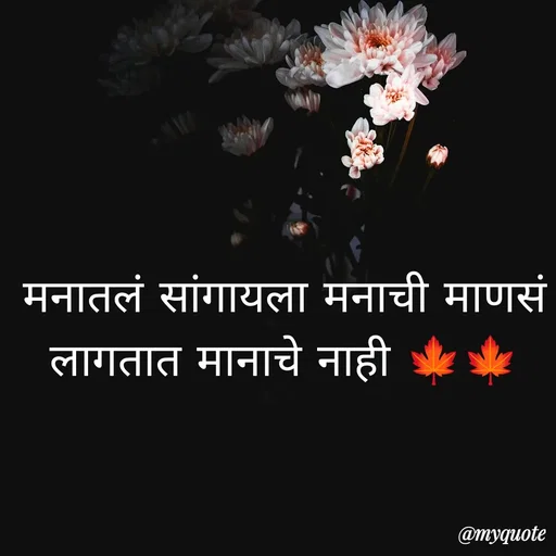 Quote by dream girl - मनातलं सांगायला मनाची माणसं लागतात मानाचे नाही 🍁🍁 - Made using Quotes Creator App, Post Maker App