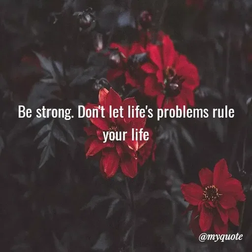 Quote by Malande Yanta -  - Made using Quotes Creator App, Post Maker App