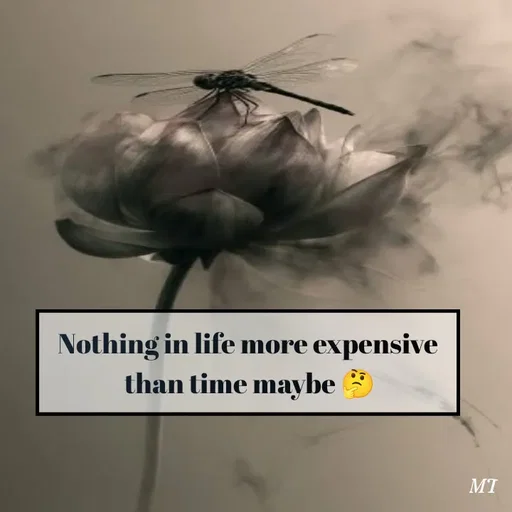 Quote by MT -  - Made using Quotes Creator App, Post Maker App