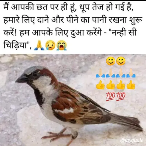 Quote by prachi saini - मैं आपकी छत पर ही हूं, धूप तेज हो गई है,
हमारे लिए दाने और पीने का पानी रखना शुरू
करें! हम आपके लिए दुआ करेंगे - "नन्ही सी
चिड़िया",
100 700
@myquote
१)
 - Made using Quotes Creator App, Post Maker App