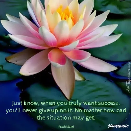 Quote by prachi saini - Just know, when you truly want success,
you'll never give up on it. No matter how bad
the situation may get.
Prachi Saini
@myquote
ATapeciarnia.pl
 - Made using Quotes Creator App, Post Maker App