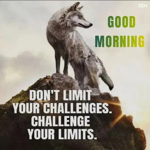 Quote by Ballamurugan S - GOOD MORNING  - Made using Quotes Creator App, Post Maker App