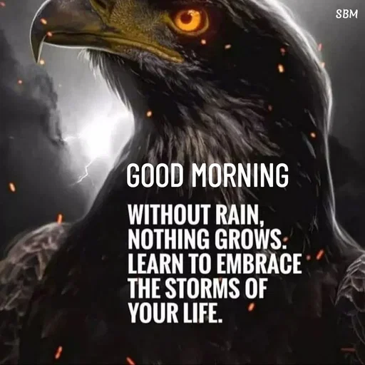 Quote by Ballamurugan S - GOOD MORNING  - Made using Quotes Creator App, Post Maker App