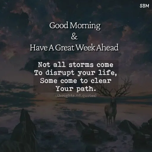 Quote by Ballamurugan S - Good Morning
& 
Have A Great Week Ahead  - Made using Quotes Creator App, Post Maker App