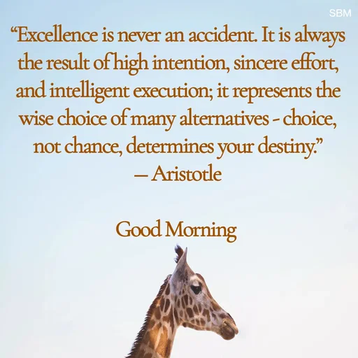 Quote by Ballamurugan S - “Excellence is never an accident. It is always the result of high intention, sincere effort, and intelligent execution; it represents the wise choice of many alternatives - choice, not chance, determines your destiny.”
― Aristotle

Good Morning  - Made using Quotes Creator App, Post Maker App