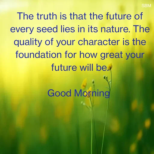 Quote by Ballamurugan S - The truth is that the future of every seed lies in its nature. The quality of your character is the foundation for how great your future will be.

Good Morning  - Made using Quotes Creator App, Post Maker App