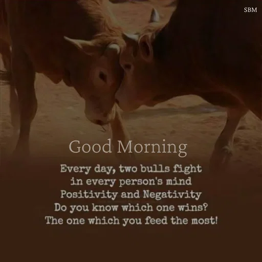 Quote by Ballamurugan S - Good Morning  - Made using Quotes Creator App, Post Maker App