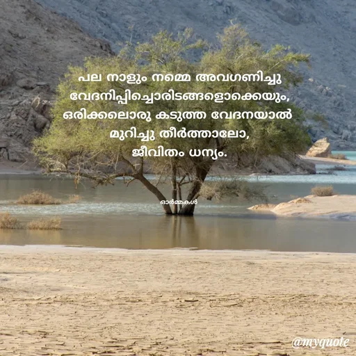 Quote by Ormakal - പല നാളും നമ്മെ അവഗണിച്ചു
വേദനിപ്പിച്ചൊരിടങ്ങളൊക്കെയും,
ഒരിക്കലൊരു കടുത്ത വേദനയാൽ 
മുറിച്ചു തീർത്താലോ,
ജീവിതം ധന്യം.



ഓർമ്മകൾ  - Made using Quotes Creator App, Post Maker App