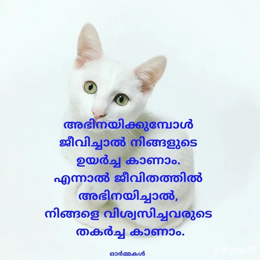 Quote by Ormakal - അഭിനയിക്കുമ്പോൾ
 ജീവിച്ചാൽ നിങ്ങളുടെ 
ഉയർച്ച കാണാം.
എന്നാൽ ജീവിതത്തിൽ
അഭിനയിച്ചാൽ,
നിങ്ങളെ വിശ്വസിച്ചവരുടെ
 തകർച്ച കാണാം.

ഓർമ്മകൾ  - Made using Quotes Creator App, Post Maker App