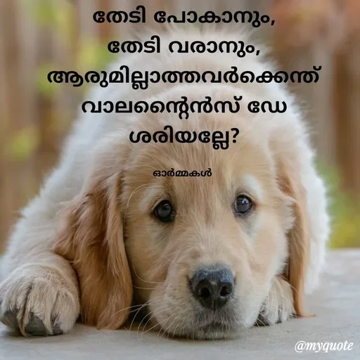 Quote by Ormakal - തേടി പോകാനും,
തേടി വരാനും,
ആരുമില്ലാത്തവർക്കെന്ത്
വാലന്റൈൻസ് ഡേ
ശരിയല്ലേ?

ഓർമ്മകൾ  - Made using Quotes Creator App, Post Maker App