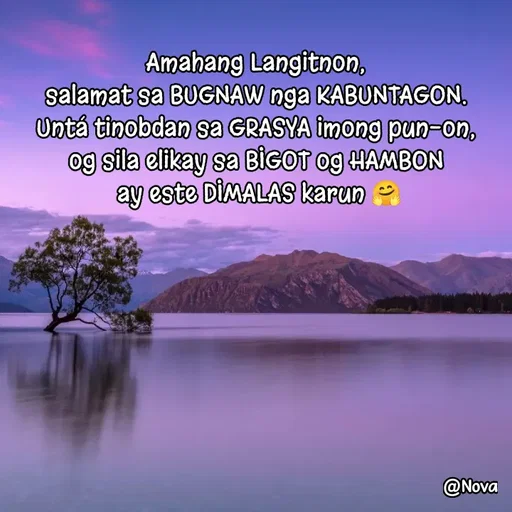 Quote by Nova Degulacion Dondoyano - null - Made using Quotes Creator App, Post Maker App